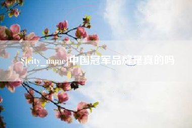 沈丘中国冠军品牌是真的吗