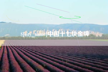 沈丘中国十七块金牌
