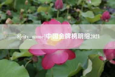 沈丘中国金牌榜明细2021