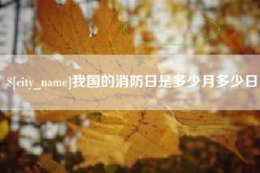 沈丘我国的消防日是多少月多少日