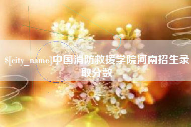 沈丘中国消防救援学院河南招生录取分数