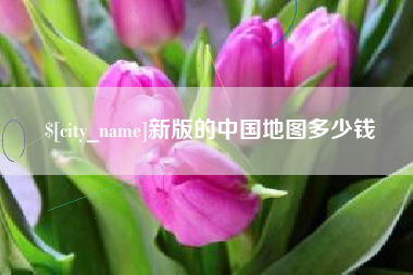 沈丘新版的中国地图多少钱