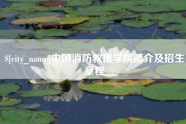 沈丘中国消防救援学院简介及招生章程
