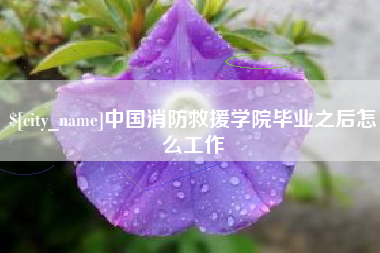 沈丘中国消防救援学院毕业之后怎么工作