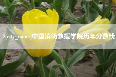 沈丘中国消防救援学院历年分数线