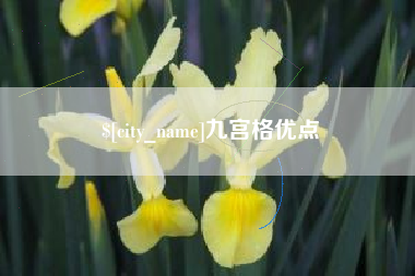 沈丘九宫格优点