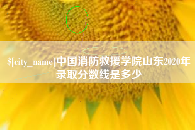 沈丘中国消防救援学院山东2020年录取分数线是多少