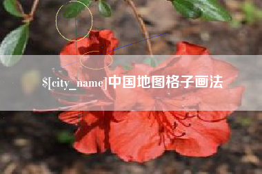 沈丘中国地图格子画法