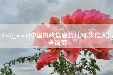 沈丘中国执政信息公开网-失信人员查询页