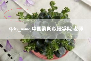 沈丘中国消防救援学院 老师
