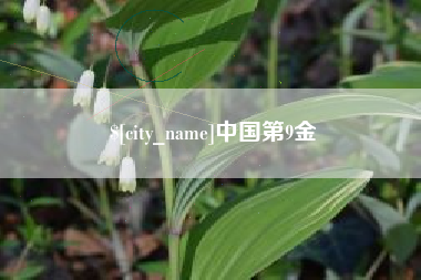 沈丘中国第9金