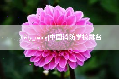 沈丘中国消防学校排名