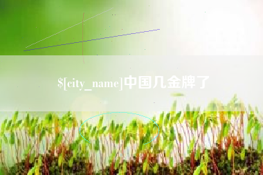 沈丘中国几金牌了