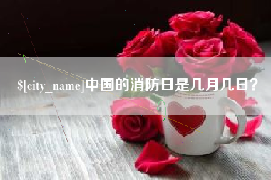 沈丘中国的消防日是几月几日？