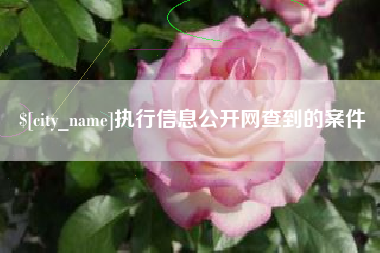 沈丘执行信息公开网查到的案件
