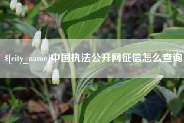 沈丘中国执法公开网征信怎么查询