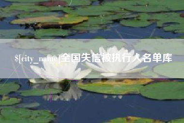 沈丘全国失信被执行人名单库