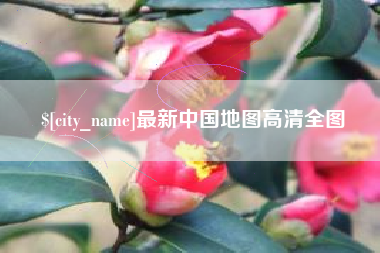 沈丘最新中国地图高清全图