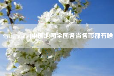 沈丘中国地图全图各省各市都有啥