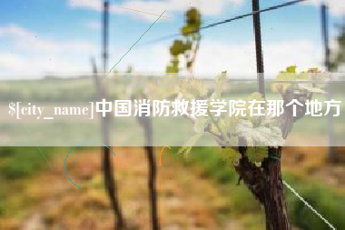 沈丘中国消防救援学院在那个地方