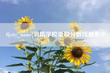 沈丘消防学校录取分数线是多少
