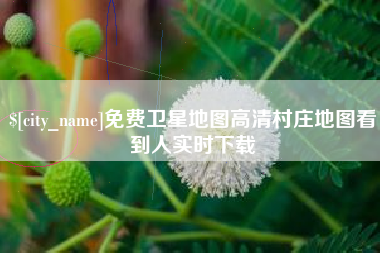 沈丘免费卫星地图高清村庄地图看到人实时下载