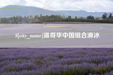 沈丘温哥华中国组合滑冰
