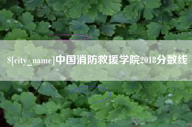 沈丘中国消防救援学院2018分数线