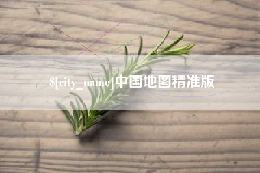 沈丘中国地图精准版