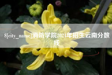 沈丘消防学院2024年招生云南分数线