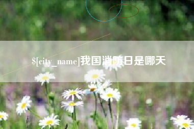 沈丘我国消防日是哪天