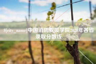 沈丘中国消防救援学院2020年各省录取分数线