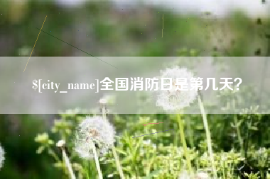 沈丘全国消防日是第几天？