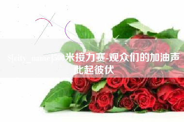 沈丘500米接力赛-观众们的加油声此起彼伏