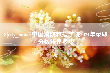沈丘中国消防救援学院2024年录取分数线是多少