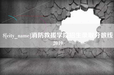 沈丘消防救援学院招生录取分数线2019