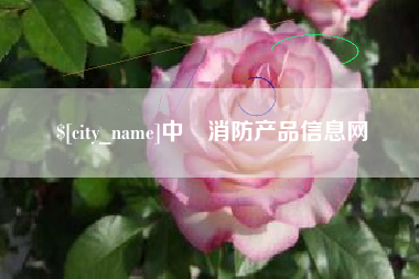 沈丘中囯消防产品信息网