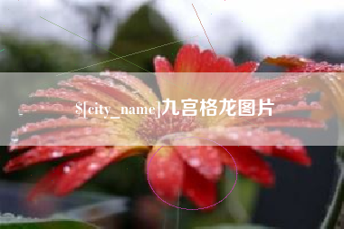 沈丘九宫格龙图片