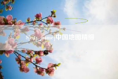 沈丘中国地图精细