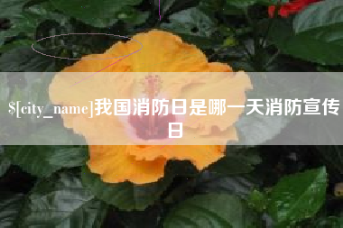 沈丘我国消防日是哪一天消防宣传日