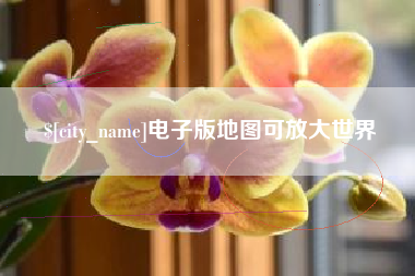 沈丘电子版地图可放大世界
