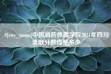 沈丘中国消防救援学院2021年四川录取分数线是多少