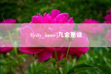 沈丘九金是谁