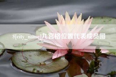 沈丘九宫格位置代表成员图