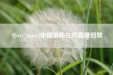 沈丘中国消防在线直播回放
