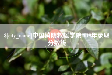 沈丘中国消防救援学院2019年录取分数线