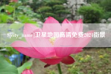 沈丘卫星地图高清免费2024街景