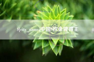 沈丘中国9枚金牌得主