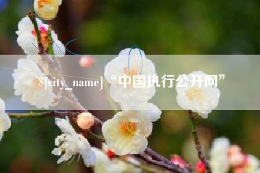 沈丘“中国执行公开网”