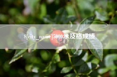 沈丘5000米及格成绩